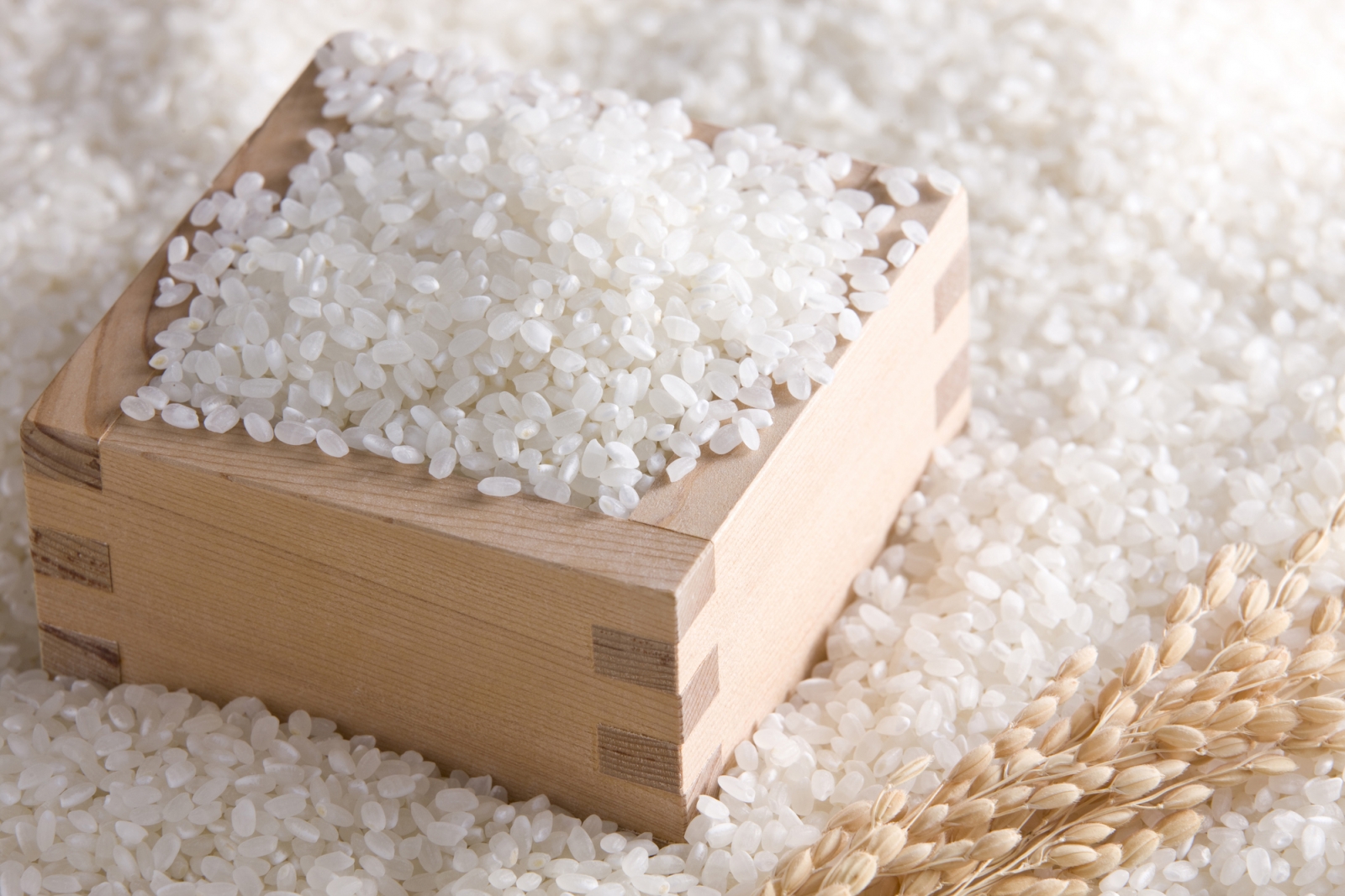 Description: Kết quả hình ảnh cho gạo trắng